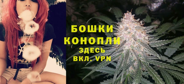 ГАЛЛЮЦИНОГЕННЫЕ ГРИБЫ Переславль-Залесский
