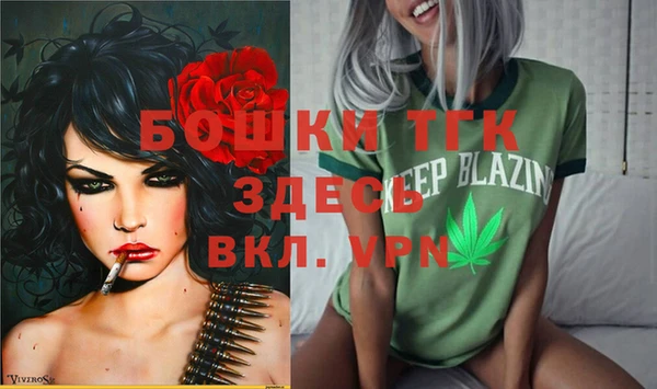 гидра Пестово