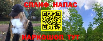 шишки Канаш