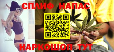 ГАЛЛЮЦИНОГЕННЫЕ ГРИБЫ Камышлов