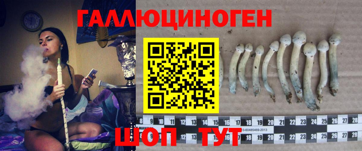 Галлюциногенные грибы мухоморы Новосибирск