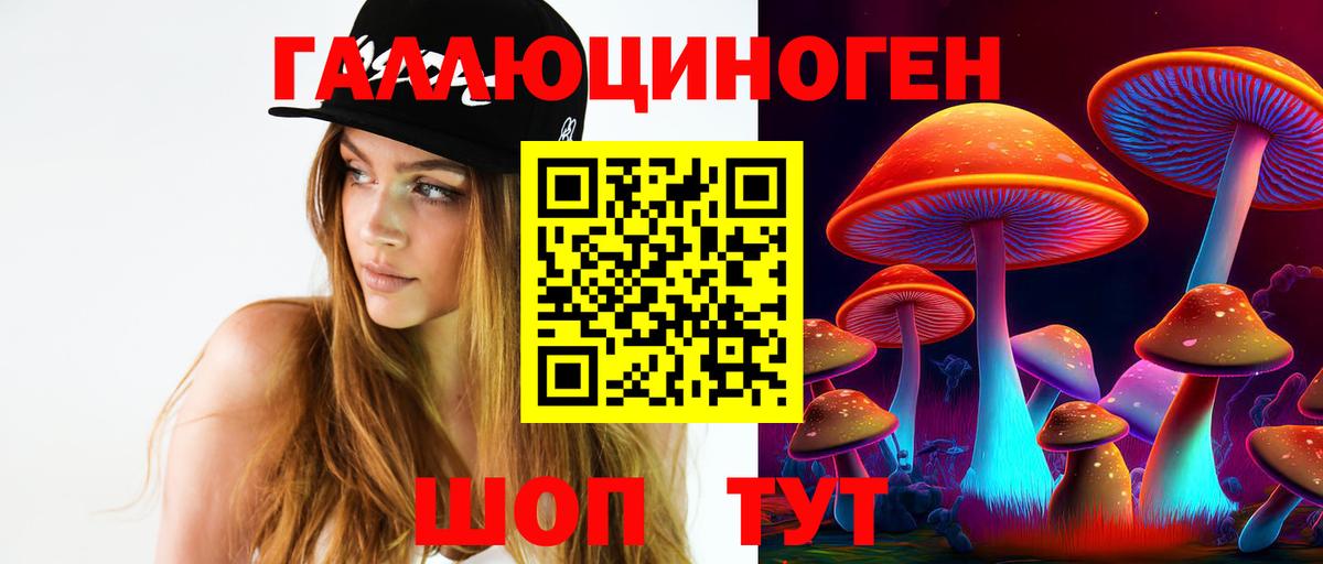 Псилоцибиновые грибы Psilocybe  Вход с VPN  Новосибирск 