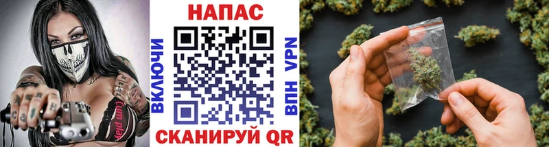 Шишки марихуана план  Новосибирск 