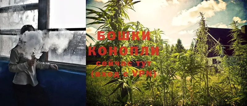 Каннабис Ganja  даркнет сайт  Новосибирск 